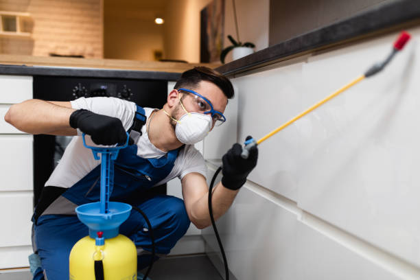 Pest Prevention Services in Warm Springs, OR