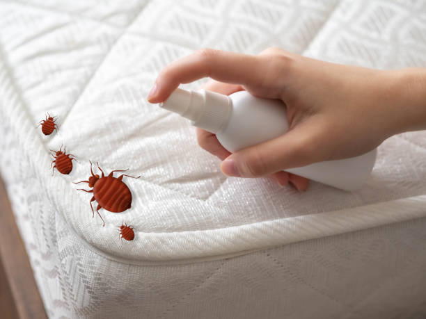 Best Emergency Pest Control  in Warm Springs, OR