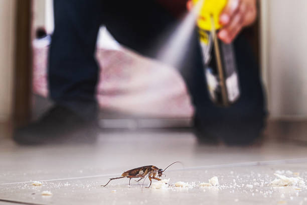 Best Commercial Pest Control Services  in Warm Springs, OR