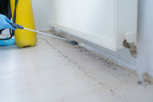 Best Pest Control Near Me  in Warm Springs, OR
