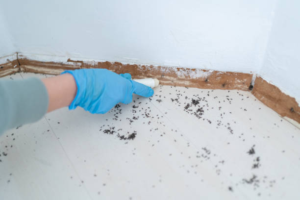 Best Pest Removal Services  in Warm Springs, OR