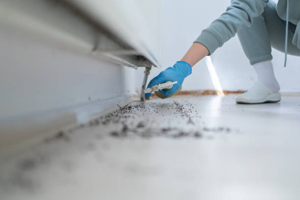  Warm Springs, OR Pest Control Pros